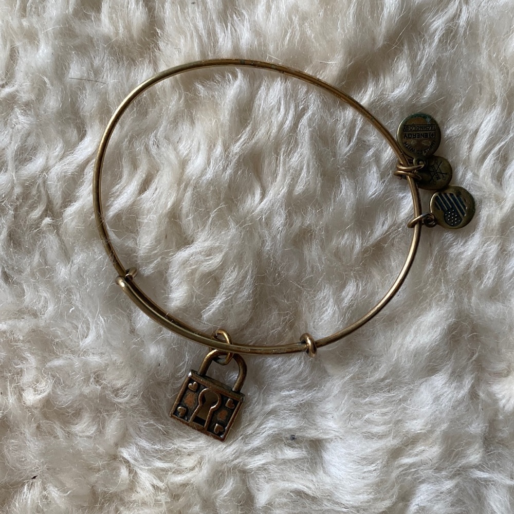 Alex and Ani unbreakable love bangle